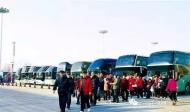 天鹅翔舞广迎八方宾朋 崤函大地开启冬日之旅