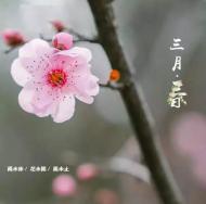 遍赏花花世界，不用东奔西走，来这一个城市就够了！