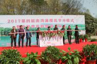 河南旅游市场运营：第四届南湾湖樱花节开幕了！